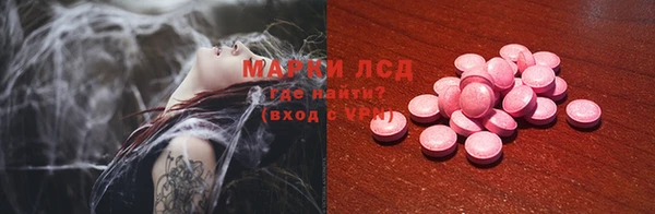 ECSTASY Алзамай