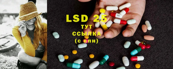 ECSTASY Алзамай