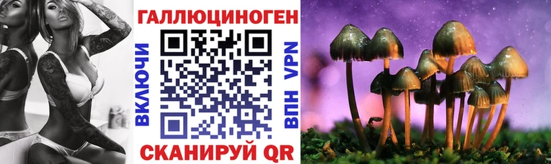 Купить где  Тырныауз  Псилоцибиновые грибы ЛСД 